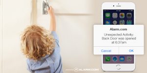 Smart Home, Smart home features